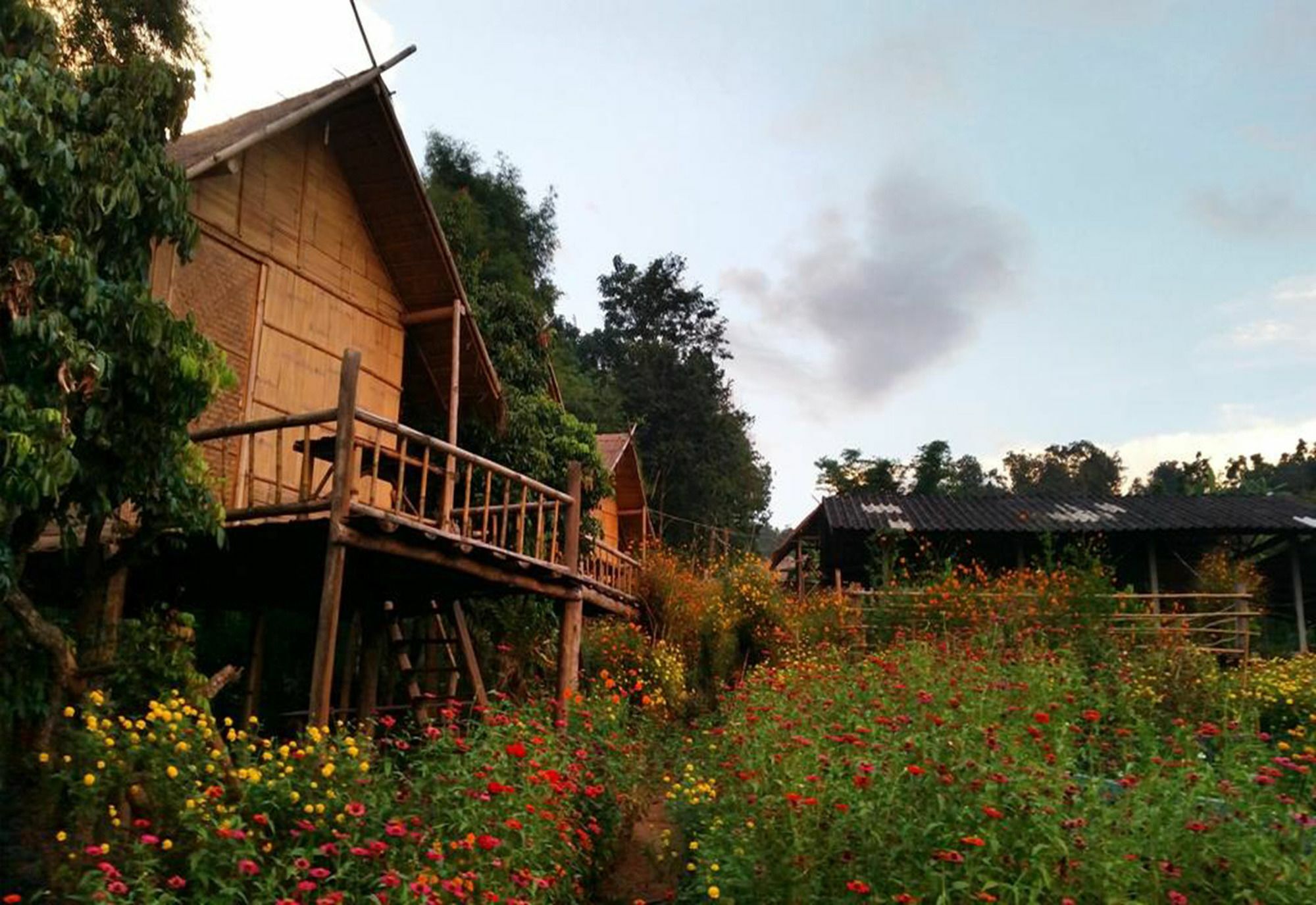 Baan Aingdoi Homestay, 清佬 外观 照片