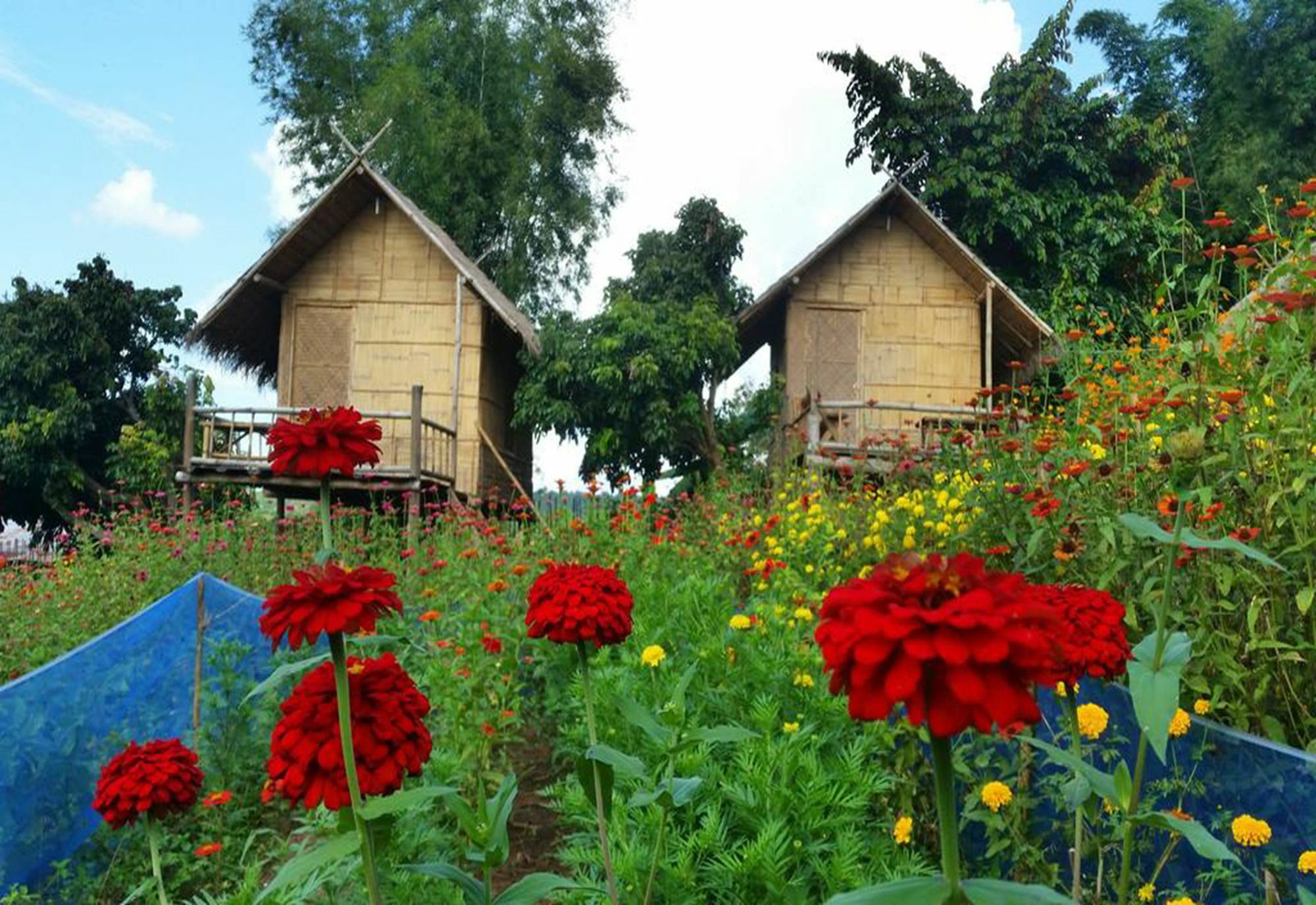Baan Aingdoi Homestay, 清佬 外观 照片