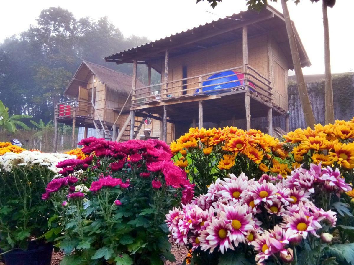 Baan Aingdoi Homestay, 清佬 外观 照片