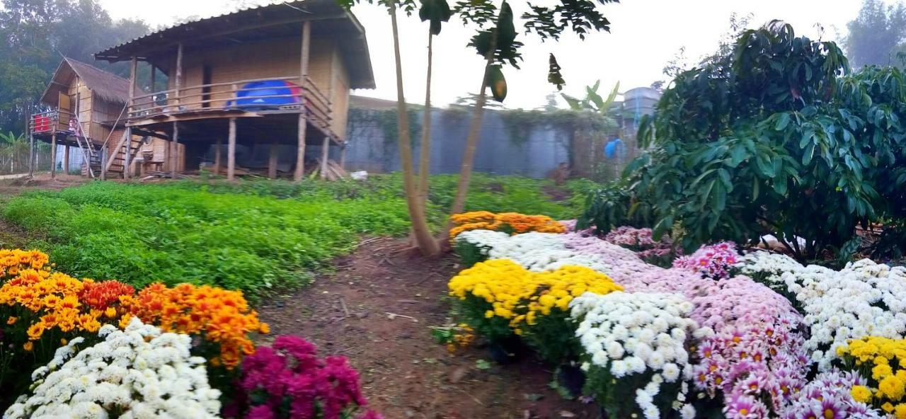Baan Aingdoi Homestay, 清佬 外观 照片